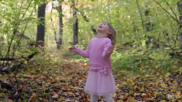 Een vrolijk meisje draait en verheugt zich wanneer gevallen herfstbladeren op haar vallen — Stockvideo