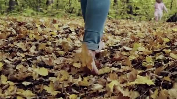 Vídeo em câmara lenta. Fechar os pés femininos. Caminhando descalço em uma trilha florestal de folhas de outono caídas — Vídeo de Stock