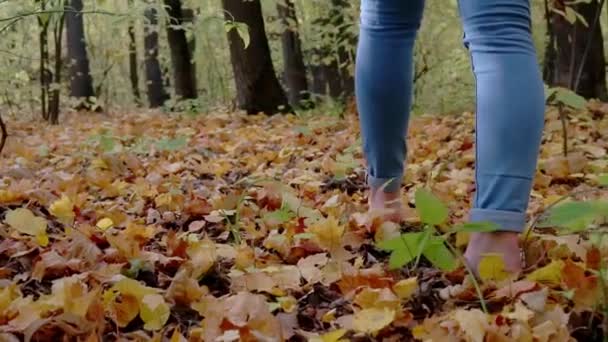 Fechar os pés femininos. Caminhando descalço em uma trilha florestal de folhas de outono caídas — Vídeo de Stock