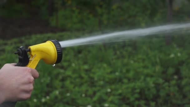 Espolvorea agua con una pistola. Riego del jardín. — Vídeos de Stock