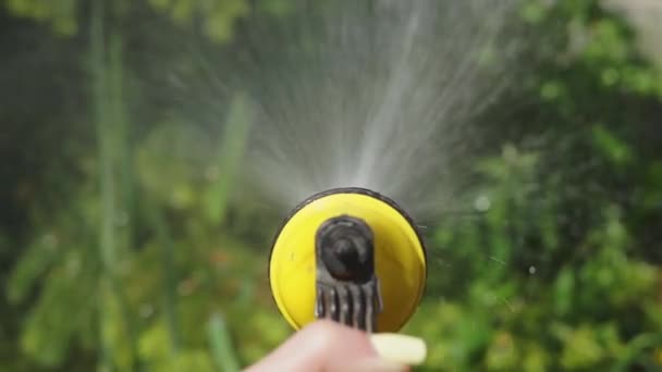 Besproeit water met een spuitpistool. De tuin besproeien — Stockvideo