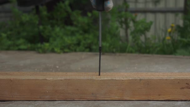 Using a screwdriver, hand screw the screw into the board. — Stock Video