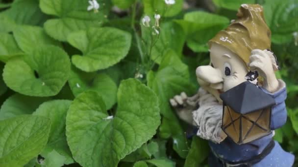 Statuette eines Gartenzwerges im grünen Laub. Wasserspritze nass die Laken und die Statuette eines Gnoms — Stockvideo