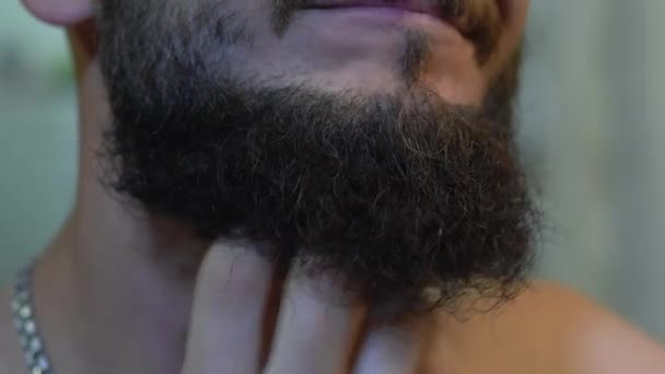 Un homme avec une barbe épaisse, la main se gratte la barbe — Video