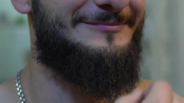 Een man met een dikke baard, een hand streelt zijn baard — Stockvideo