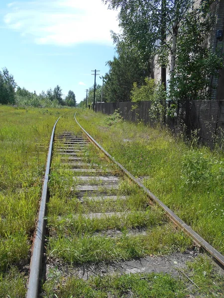 Yazın Eski Priozersk Demiryolu — Stok fotoğraf