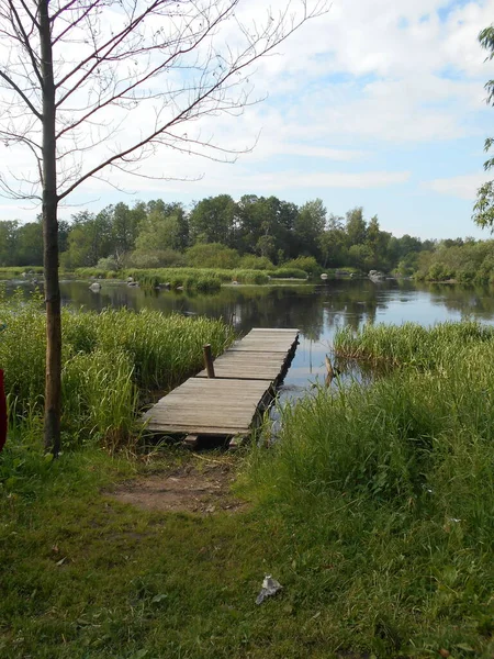 Sjön Sommardag — Stockfoto