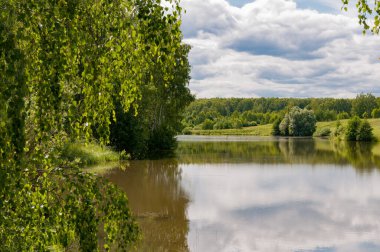 Yazın güzel orman gölü     