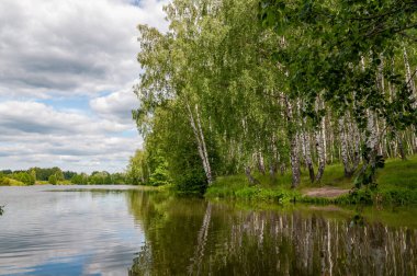 Bulutların yansıdığı sessiz bir orman gölü.