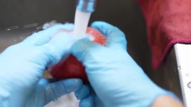 Tek kullanımlık eldivenlerle bir süpermarket domatesi yıkamak