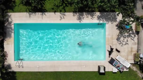 Hombre exitoso nadando en su piscina privada, tiro aéreo — Vídeo de stock
