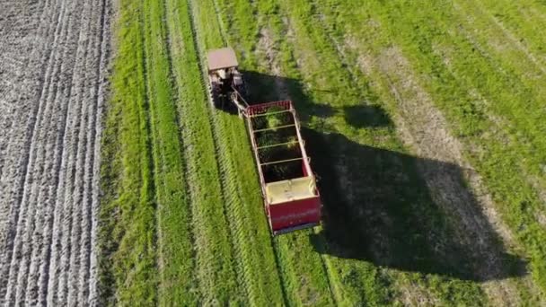 Trator agrícola espalhando estrume, aéreo — Vídeo de Stock