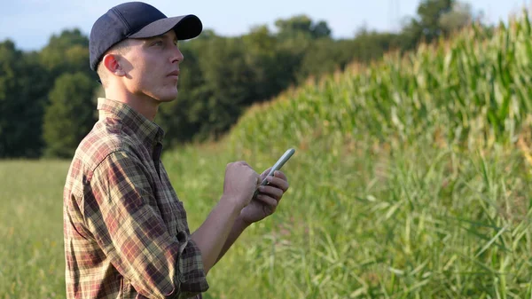Młody rolnik przy użyciu smartfona do notatek na swoich polach — Zdjęcie stockowe