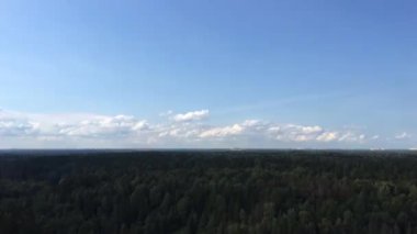 Yumuşak bulutlu mavi gökyüzü zaman içinde bir ormanın üzerinde