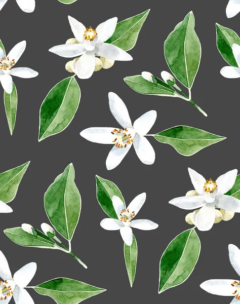 Hand painted leaves and white orange tree flowers. Watercolor seamless pattern on gray background. For wrapping, fabric, wallpaper.