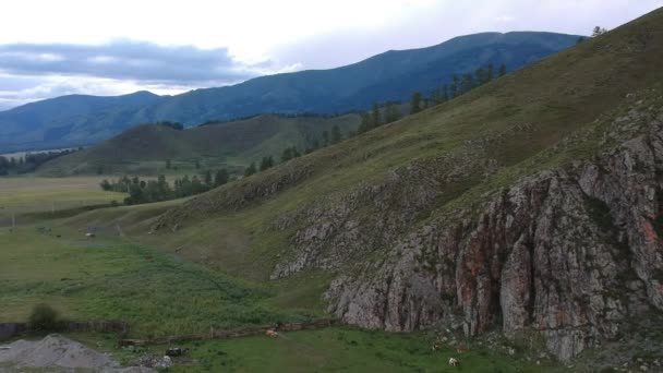 Valli Dei Monti Altai Fiumi Foreste Campi Laghi Tramonto Sullo — Video Stock