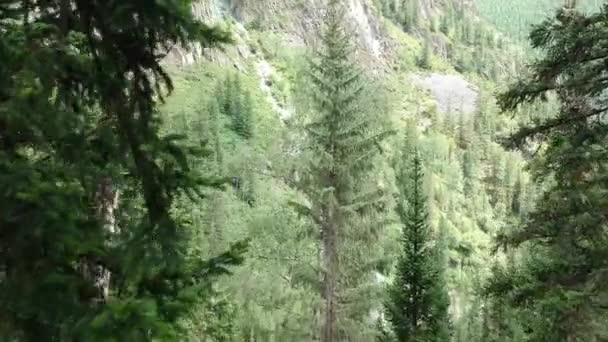 Les Vallées Des Montagnes Altaï Rivières Forêts Champs Lacs Coucher — Video