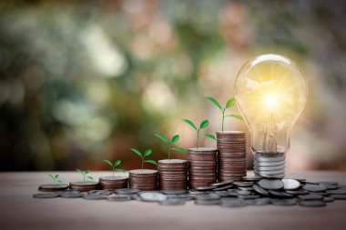 Bozuk para yığınları üzerinde büyüyen ağaç ve Bokeh arka planlı ampulü koruyan enerji. Tasarruf, muhasebe ve finansal konsebe.