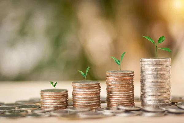 Save Money concept for Financial, Investment and Business with money coin stack for growing with sun light bokeh background.