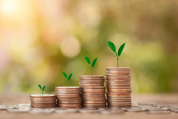 Save Money concept for Financial, Investment and Business with money coin stack for growing with sun light bokeh background and tree growing on coin.
