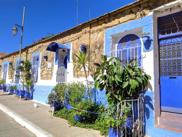 Traditional Riad Colored Blue Beautiful Small Garden Famous City Assilah — Stock Photo, Image