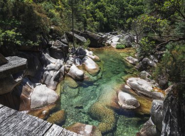 Mata da Albergaria 'daki temiz dere manzarası, ahşap köprüden. Peneda-Geres Ulusal Parkı ormanının ortasında sakin, saf, ferahlatıcı bir yer..