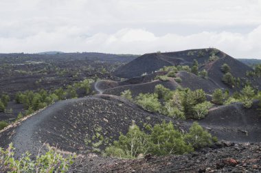 Yeşil çalılar ve siyah kumlarla çevrili etna yamaçlarından geçen kıvrımlı bir patika. Bulutlu gökyüzü ile Sicilya manzarası.