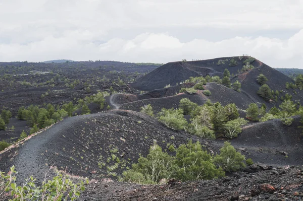 Yeşil çalılar ve siyah kumlarla çevrili etna yamaçlarından geçen kıvrımlı bir patika. Bulutlu gökyüzü ile Sicilya manzarası.
