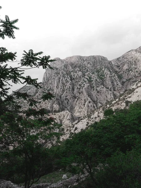 Mysterious Kotor Montenegro Paisagem Bela Vista Uma Montanha Atrás Folhagem — Fotografia de Stock