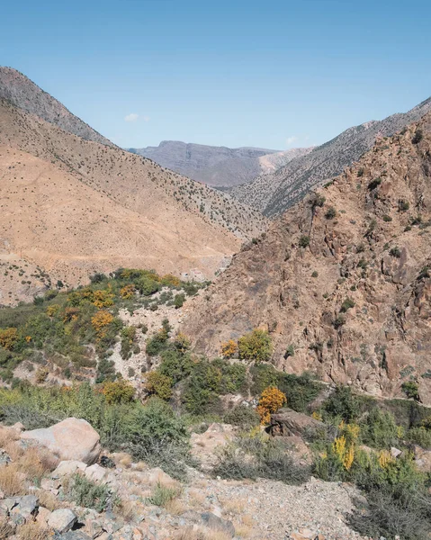 Paisagem Montanhosa Panorâmica Vale Ourika Seco Repleta Árvores Arbustos Marrocos — Fotografia de Stock