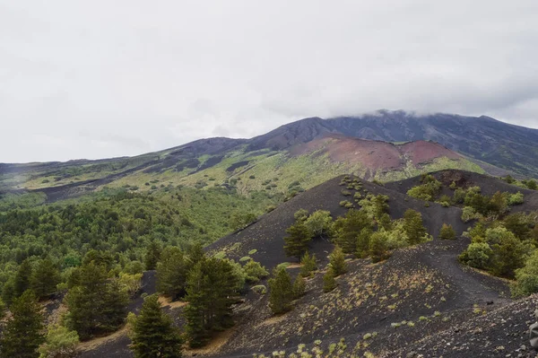 Vista Deslumbrante Enquanto Caminha Pelo Vulcão Siciliano Monte Etna Rodeado — Fotografia de Stock