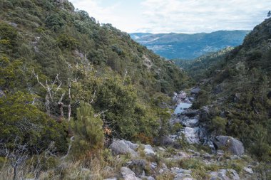 Dağ nehri manzarası Arado, bitki örtüsüyle çevrili. Peneda Geres Ulusal Parkı 'ndaki gizli vadi