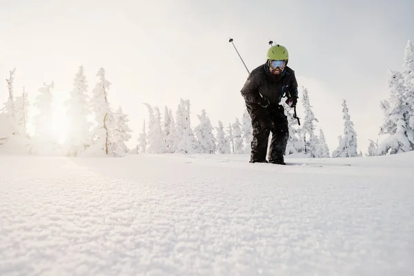 Esquiador Masculino Cabalgando Sobre Nieve Fresca Polvo Entre Árboles Cubiertos —  Fotos de Stock