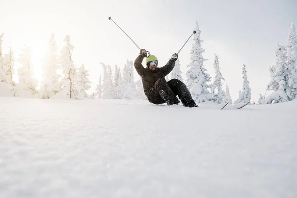 Mannelijke Skiër Die Valt Vers Sneeuwpoeder Tussen Besneeuwde Bomen Zonnige — Stockfoto