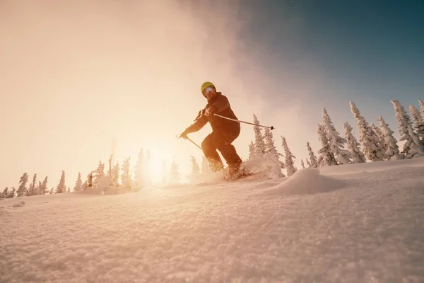 雪に覆われたスプルースの森の間に新鮮な雪の粉に太陽の光に対して山の中でハッピースキーダウンヒル 晴れた冬の日とスキーリザーバーでの無料乗車 — ストック写真