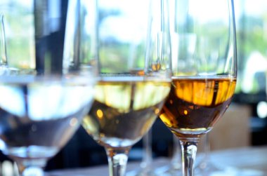 Copas de tekila para de gustacin, de gustacin de tekila en copas, tekila reposado, tekila blanco, tekila aejo