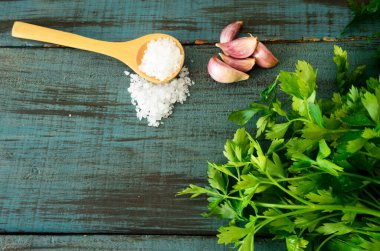 Malzemeler para salsa, dientes de ajo, sal de mar, cilantro, salsa picante, comida mexicana