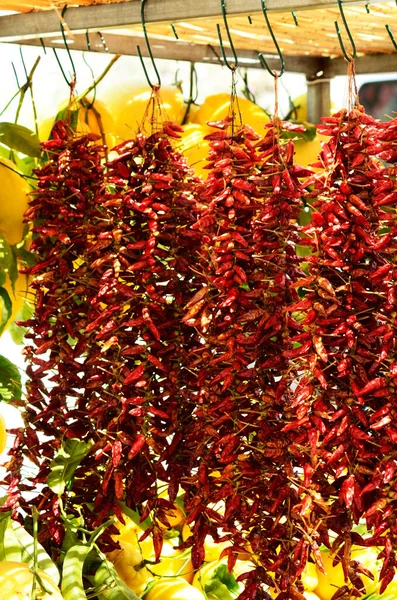 Peperoncini Hangin Italian Market Pepperoncini Italiano Italian Chilly Spicy Italian — Stock Photo, Image