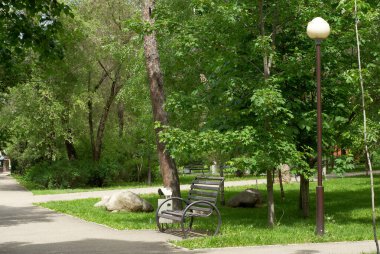 Parktaki bir ara sokakta ağaçların arasında bir bank.