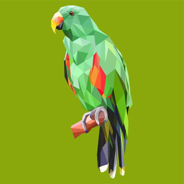 Polygonal Grön Papegoja Piska — Stock vektor