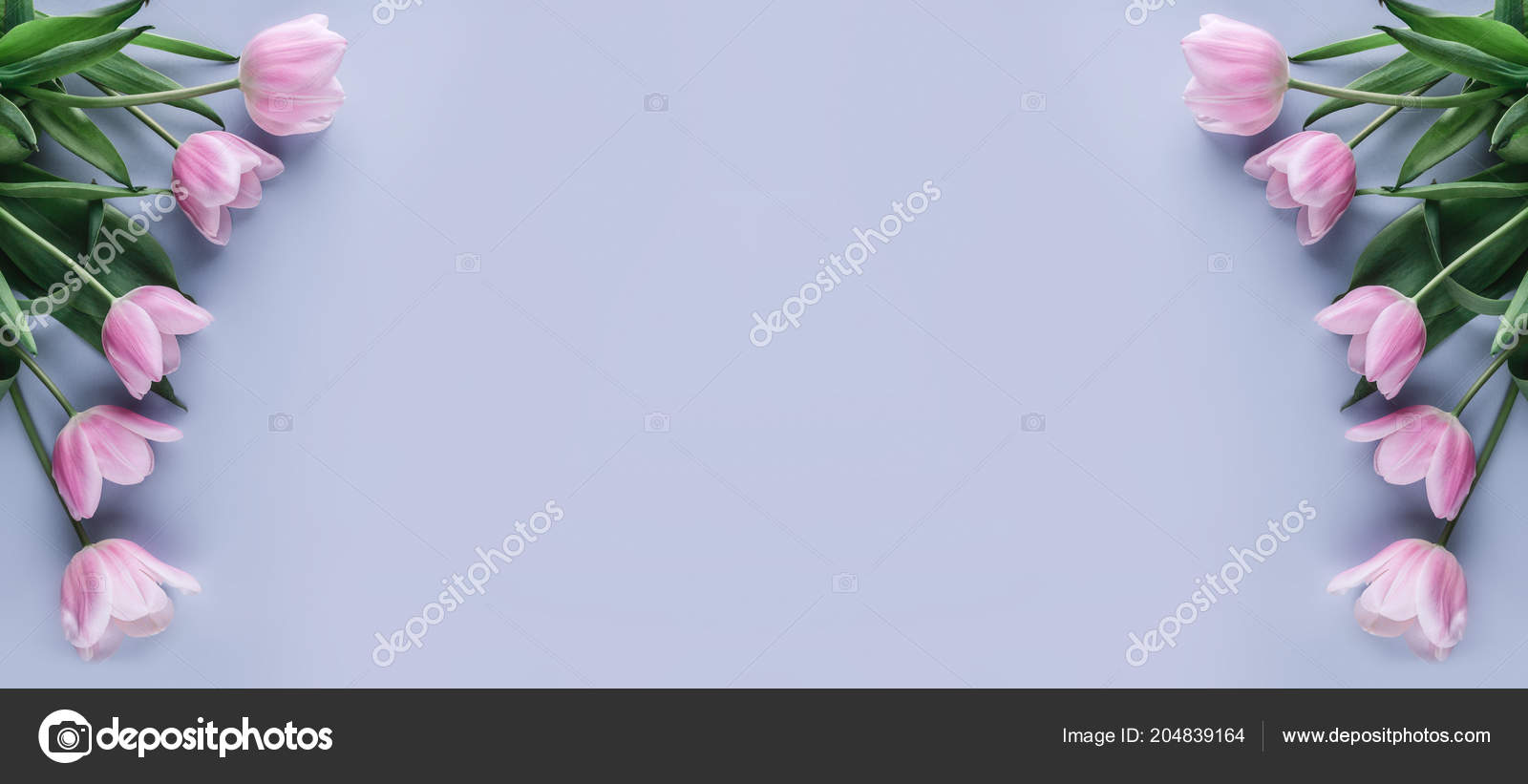 Pink Tulips Flowers Light Blue Background Greeting Card Wedding