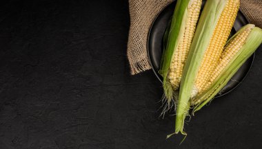 Taze mısır koçanı plaka üzerinde karanlık taş tablo üzerinde. Gıda kavramı. Alan üst görünüm Kopyala