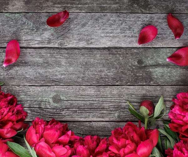 Roze Pioenrozen Bloemen Donkere Houten Achtergrond Met Ruimte Voor Tekst — Stockfoto