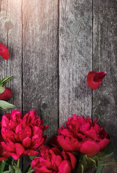 Kwiaty Różowe Piwonie Ciemnym Tle Drewnianych Miejsca Tekst Dzień Matki — Zdjęcie stockowe
