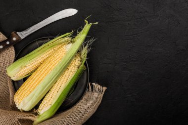 Taze mısır koçanı karanlık taş tablo üzerinde bıçak ile plaka üzerinde. Gıda kavramı. Alan üst görünüm Kopyala
