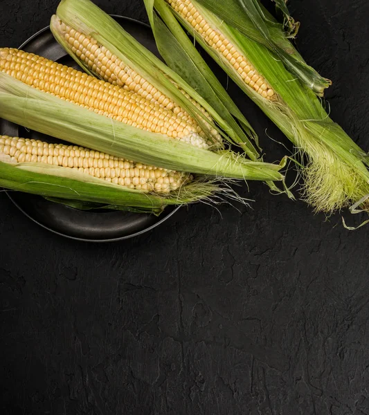 Fresh Corn Cobs Dark Stone Table Food Concept Copy Space — Stock Photo, Image