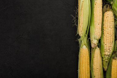 Taze mısır koçanı karanlık bir taş tablo üzerinde. Gıda kavramı. Alan üst görünüm Kopyala.
