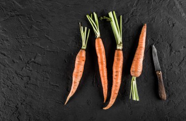 Karanlık bir taş zemin üzerine taze havuç grup. Gıda kavramı, üstten görünüm, kopya alanı.