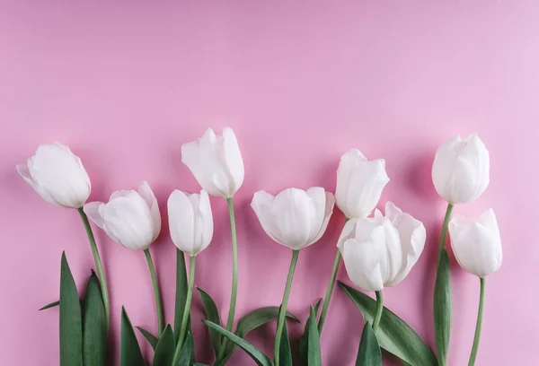 Tulipanes Blancos Flores Sobre Fondo Rosa Claro Tarjeta Felicitación Invitación — Foto de Stock