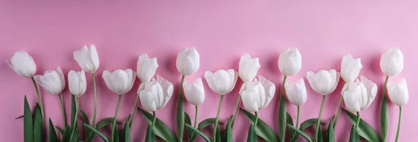 Witte Tulpen Bloemen Licht Roze Achtergrond Wenskaart Bruiloft Uitnodiging Plat — Stockfoto